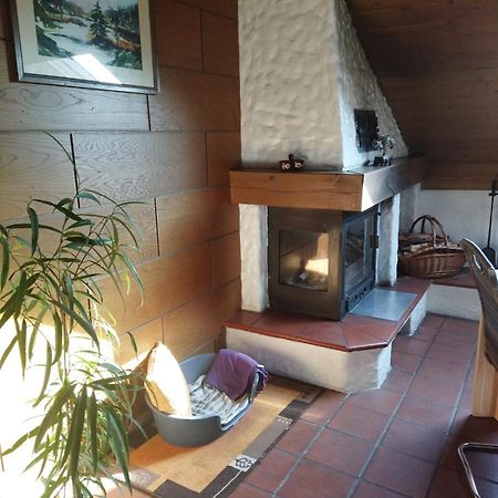 Aussergewoehnliche Atelierferienwohnung Mit Balkon An Der Donau Winzer 外观 照片