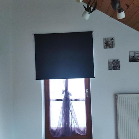 Aussergewoehnliche Atelierferienwohnung Mit Balkon An Der Donau Winzer 外观 照片
