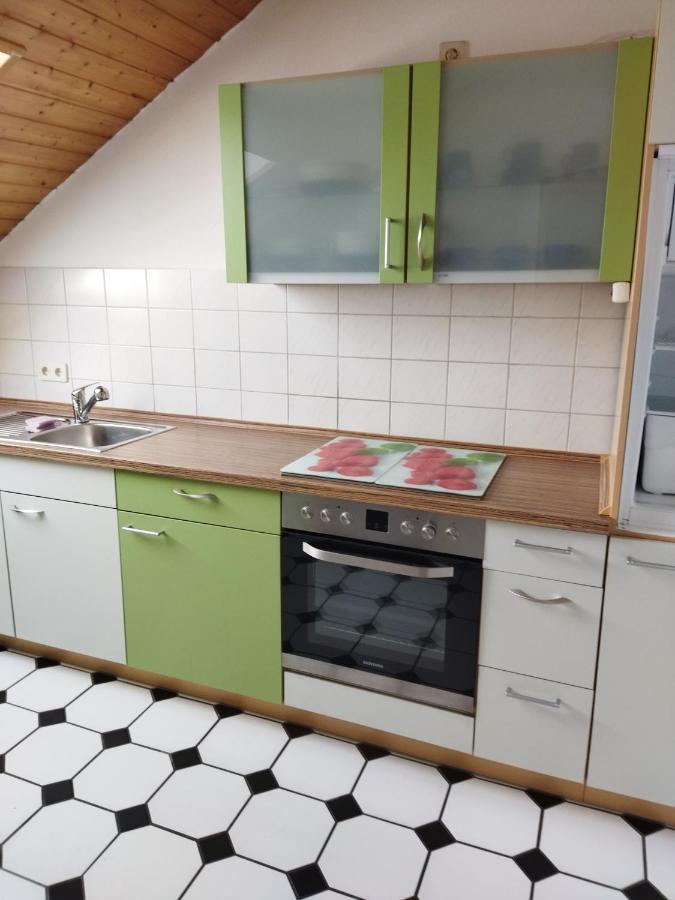 Aussergewoehnliche Atelierferienwohnung Mit Balkon An Der Donau Winzer 外观 照片