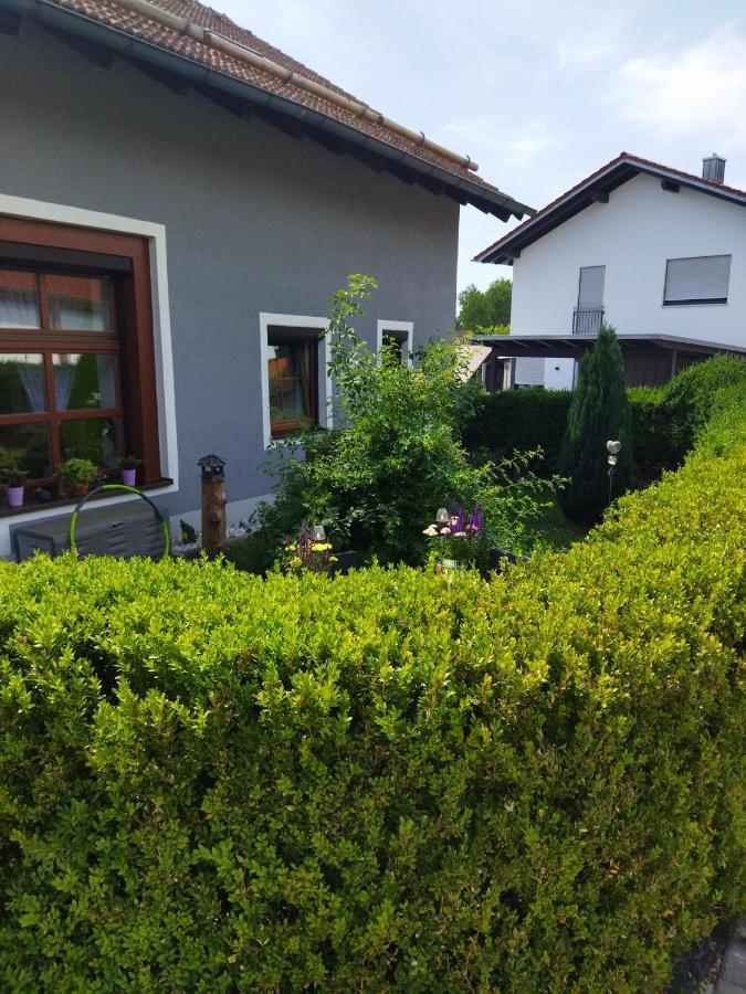 Aussergewoehnliche Atelierferienwohnung Mit Balkon An Der Donau Winzer 外观 照片