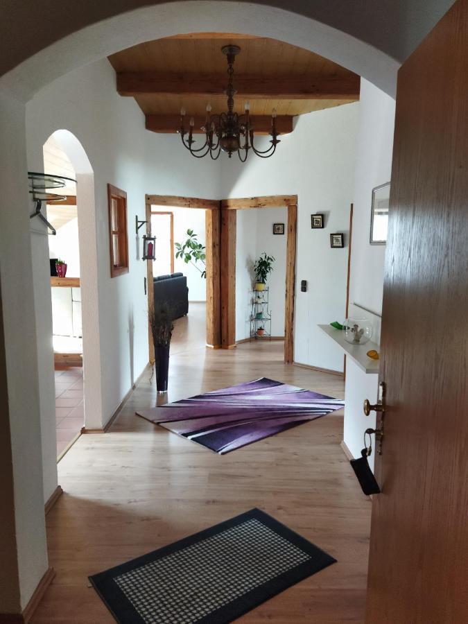 Aussergewoehnliche Atelierferienwohnung Mit Balkon An Der Donau Winzer 外观 照片