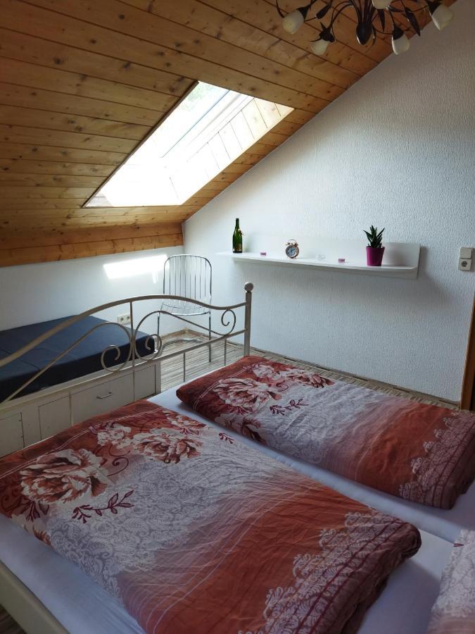 Aussergewoehnliche Atelierferienwohnung Mit Balkon An Der Donau Winzer 外观 照片