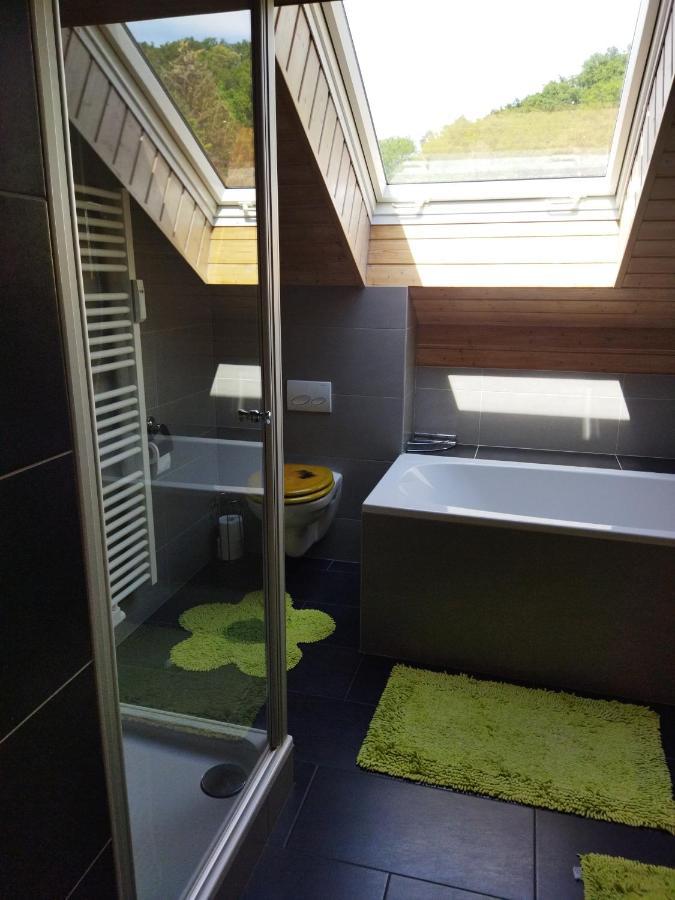 Aussergewoehnliche Atelierferienwohnung Mit Balkon An Der Donau Winzer 外观 照片