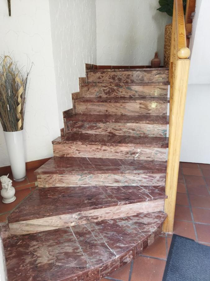 Aussergewoehnliche Atelierferienwohnung Mit Balkon An Der Donau Winzer 外观 照片