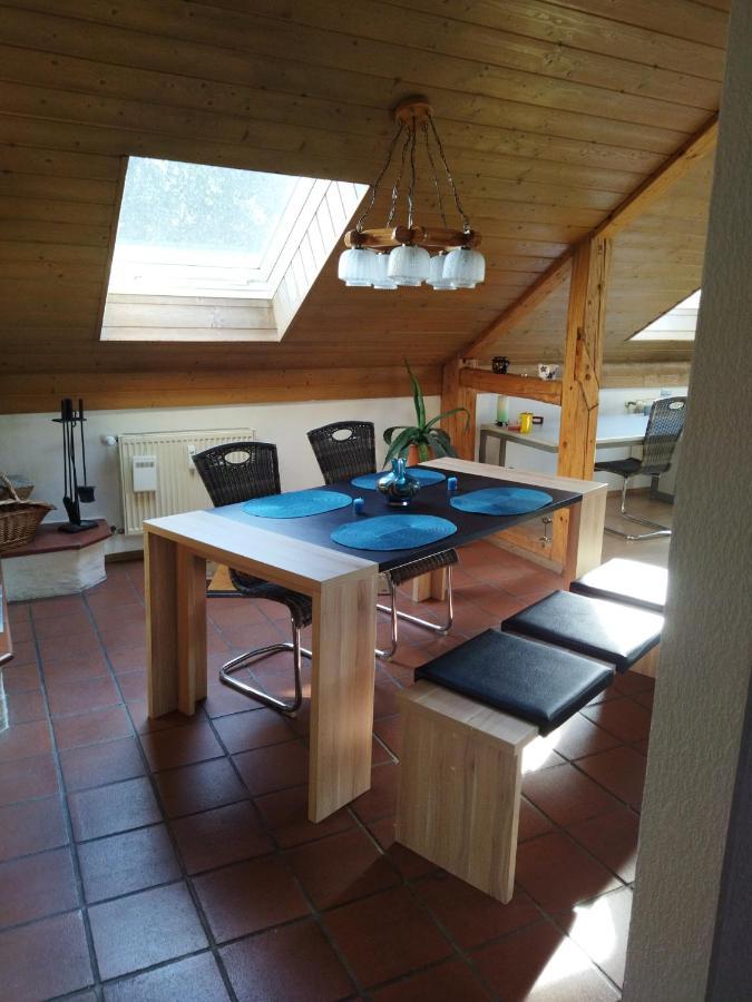 Aussergewoehnliche Atelierferienwohnung Mit Balkon An Der Donau Winzer 外观 照片