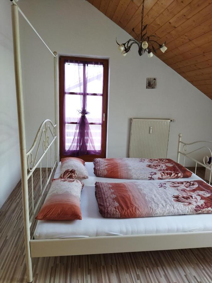 Aussergewoehnliche Atelierferienwohnung Mit Balkon An Der Donau Winzer 外观 照片