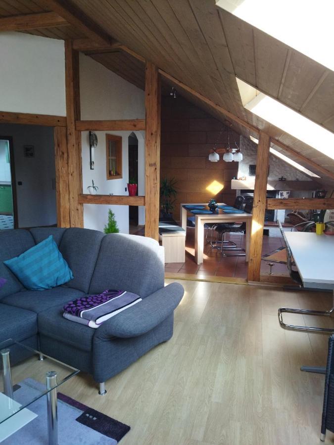 Aussergewoehnliche Atelierferienwohnung Mit Balkon An Der Donau Winzer 外观 照片