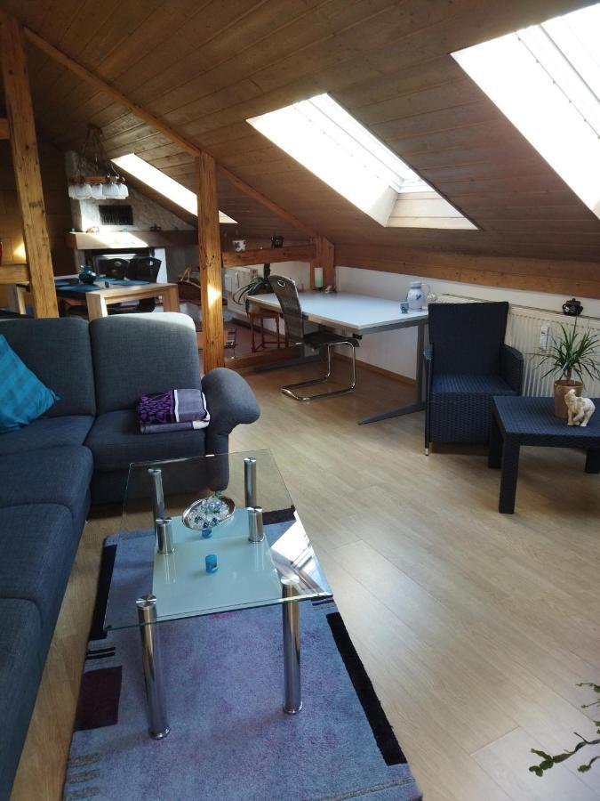 Aussergewoehnliche Atelierferienwohnung Mit Balkon An Der Donau Winzer 外观 照片