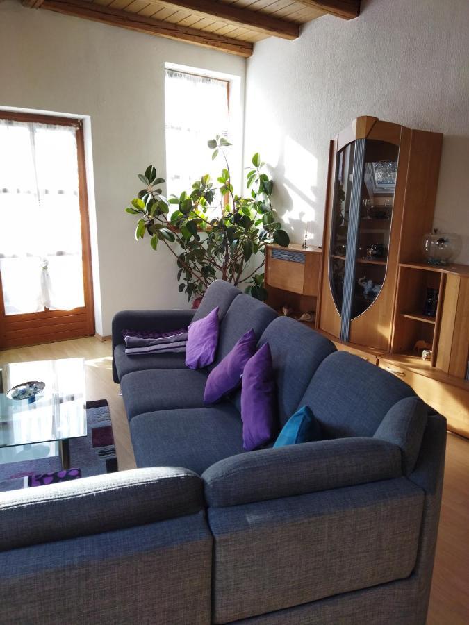 Aussergewoehnliche Atelierferienwohnung Mit Balkon An Der Donau Winzer 外观 照片