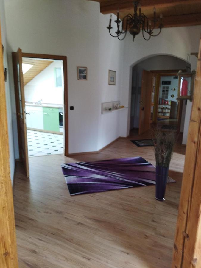 Aussergewoehnliche Atelierferienwohnung Mit Balkon An Der Donau Winzer 外观 照片