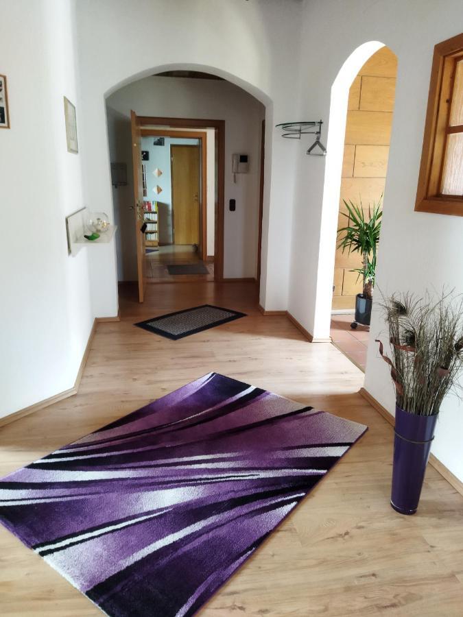 Aussergewoehnliche Atelierferienwohnung Mit Balkon An Der Donau Winzer 外观 照片