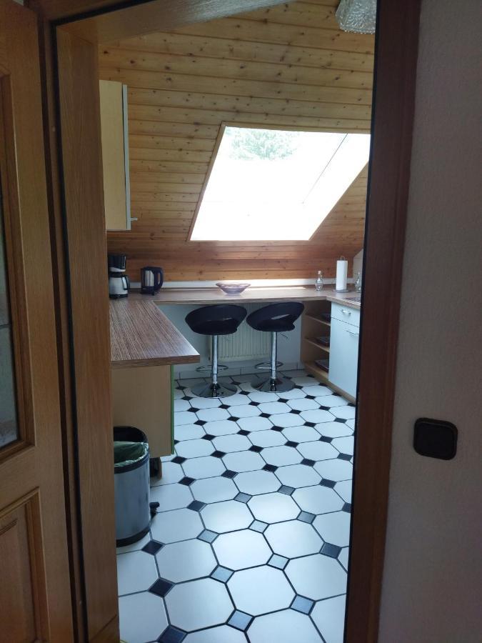Aussergewoehnliche Atelierferienwohnung Mit Balkon An Der Donau Winzer 外观 照片