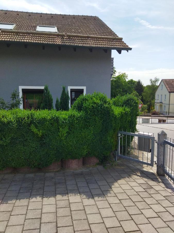 Aussergewoehnliche Atelierferienwohnung Mit Balkon An Der Donau Winzer 外观 照片