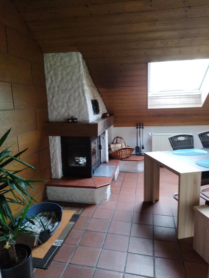 Aussergewoehnliche Atelierferienwohnung Mit Balkon An Der Donau Winzer 外观 照片
