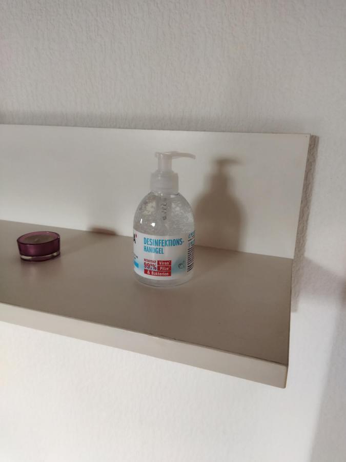 Aussergewoehnliche Atelierferienwohnung Mit Balkon An Der Donau Winzer 外观 照片