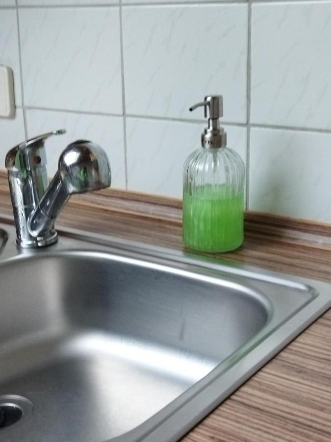 Aussergewoehnliche Atelierferienwohnung Mit Balkon An Der Donau Winzer 外观 照片