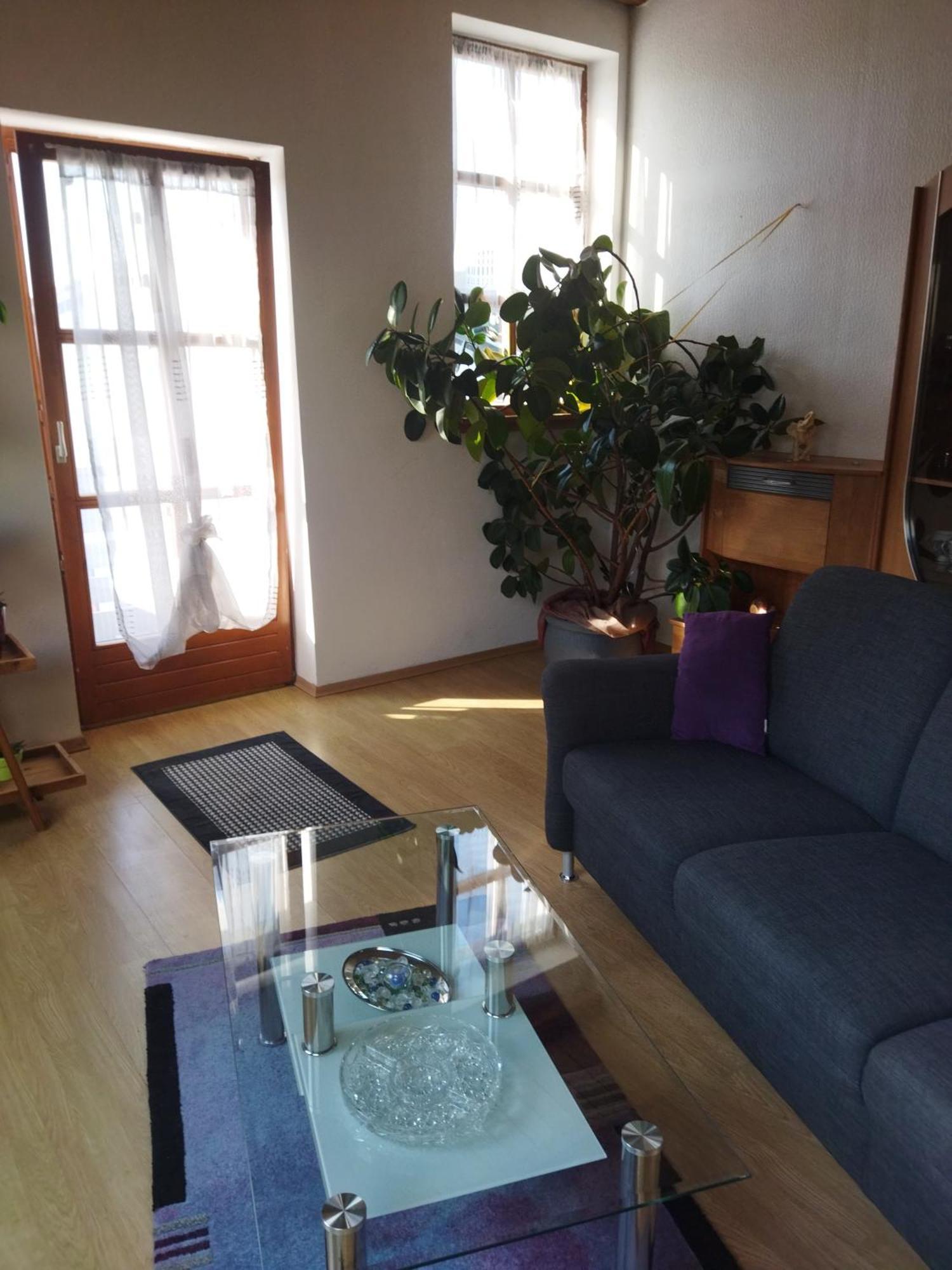 Aussergewoehnliche Atelierferienwohnung Mit Balkon An Der Donau Winzer 外观 照片