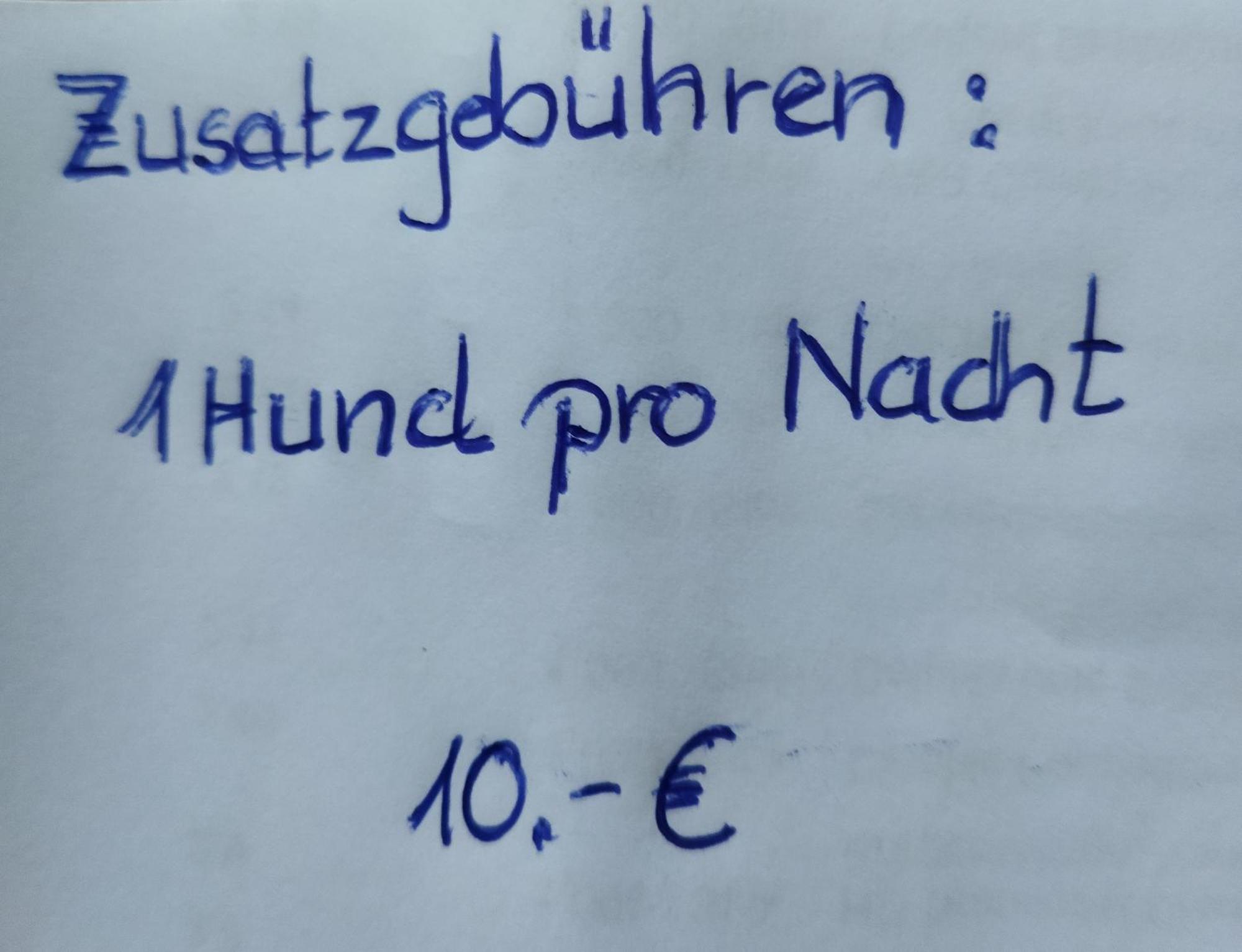Aussergewoehnliche Atelierferienwohnung Mit Balkon An Der Donau Winzer 外观 照片